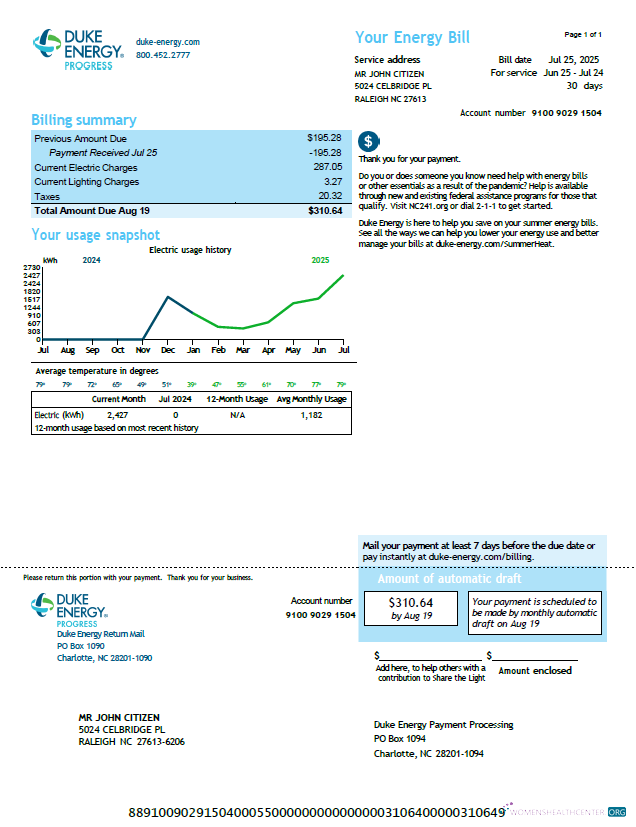 download download USA Duke Energy utility bill template in Word and PDF formats, version 3 PDF template PDF template